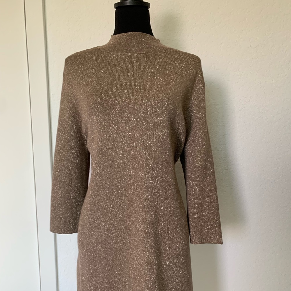 Long Holiday tunic or dress w a touch of glitter